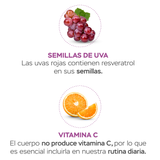 COLÁGENO HIDROLIZADO DE MÁXIMA ABSORCIÓN