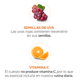 COLÁGENO HIDROLIZADO DE MÁXIMA ABSORCIÓN - SIN SABOR