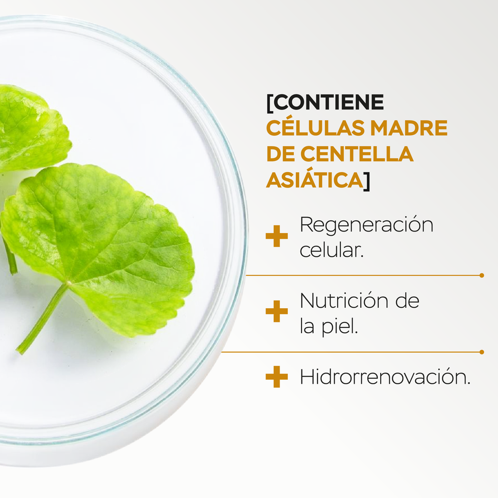 KIT SUEROS DÍA Y NOCHE - CÉLULAS MADRE, COLÁGENO Y ÁCIDO HIALURÓNICO.