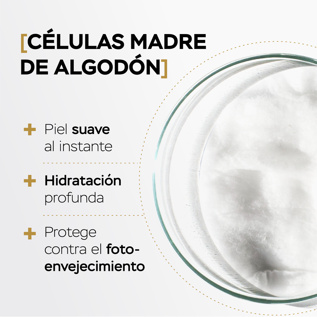 KIT CONTORNOS DE OJOS DíA EFECTO FRÍO Y NOCHE ANTI-FATIGA CON CAFEÍNA